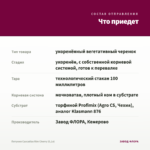 Петуния Cascadias Rim Cherry (0,1л) — что приедет