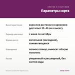 Петуния Cascadias Rim Magenta (0,1л) — параметры сорта