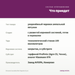 Петуния Cascadias Rim Magenta (0,1л) — что приедет