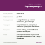 Петуния Cascadias Rim Magenta (0,1л) — параметры сорта