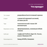 Петуния Cascadias Rim Magenta (0,1л) — что приедет