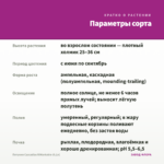 Петуния Cascadias RIMarkable (0,1л) — параметры сорта