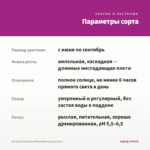 Петуния Cascadias RIMarkable (срезы/5шт) — параметры сорта