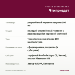 Петуния Cascadias RIMerlot (0,1л) — что приедет