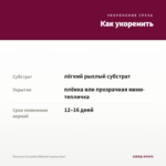Петуния Cascadias RIMerlot (срезы/5шт) — как укоренить черенок