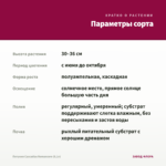 Петуния Cascadias Romancero (0,1л) — параметры сорта
