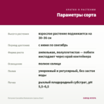 Петуния Cascadias Romancero (срезы/5шт) — параметры сорта