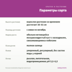Петуния Constellation Magenta Comet (0,1л) — параметры сорта