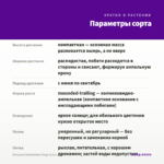 Петуния Constellation Virgo (0,1л) — параметры сорта