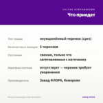 Петуния Constellation Virgo (срезы/5шт) — что приедет