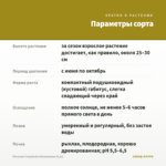 Петуния Crazytunia Bananarama (0,1л) — параметры сорта