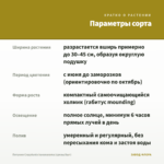 Петуния Crazytunia bananarama (срезы/5шт) — параметры сорта