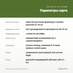 Петуния Crazytunia Black Mamba (0,1л) — параметры сорта