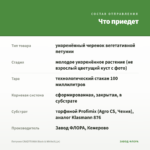 Петуния CRAZYTUNIA Black & White(0,1л) — что приедет