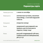 Петуния CRAZYTUNIA Black & White(срезы/5шт) — параметры сорта