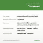 Петуния CRAZYTUNIA Black & White(срезы/5шт) — что приедет