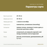 Петуния Crazytunia Blackberry Cheesecake (0,1л) — параметры сорта