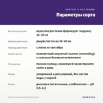 Петуния Crazytunia Blue Picotee (0,1л) — параметры сорта