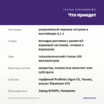 Петуния Crazytunia Blue Picotee (0,1л) — что приедет