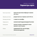 Петуния Crazytunia Blue Picotee (срезы/5шт) — параметры сорта