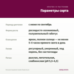 Петуния Crazytunia Cosmic Purple (0,1л) — параметры сорта