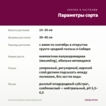 Петуния Crazytunia Cosmic Purple (0,1л) — параметры сорта