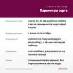 Петуния Crazytunia Cosmic Purple (срезы/5шт) — параметры сорта