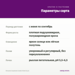 Петуния Crazytunia Cosmic Violet (0,1л) — параметры сорта
