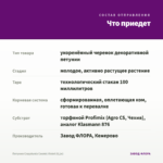 Петуния Crazytunia Cosmic Violet (0,1л) — что приедет
