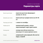 Петуния Crazytunia Cosmic Violet (срез/5шт) — параметры сорта