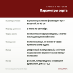 Петуния Crazytunia Mandaville (0,1л) — параметры сорта