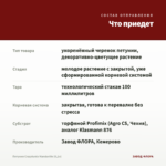Петуния Crazytunia Mandaville (0,1л) — что приедет