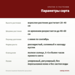 Петуния Crazytunia Mandaville (срезы/5шт) — параметры сорта