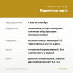 Петуния Crazytunia Moonstruck (0,1л) — параметры сорта