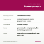 Петуния Crazytunia Pink Flamingo (0,1л) — параметры сорта