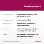 Петуния Crazytunia Pink Flamingo (срезы/5шт) — параметры сорта