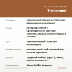 Петуния Crazytunia Terracota IMP (0,1л) — что приедет