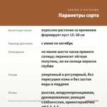 Петуния Crazytunia Terracota IMP (срезы/5шт) — параметры сорта
