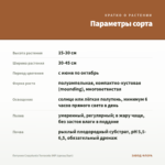 Петуния Crazytunia Terracota IMP (срезы/5шт) — параметры сорта