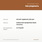 Петуния Crazytunia Terracota IMP (срезы/5шт) — как укоренить черенок