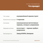Петуния Crazytunia Terracota IMP (срезы/5шт) — что приедет