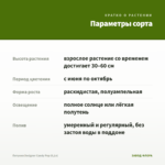 Петуния Designer Candy Pop (0,1л) — параметры сорта