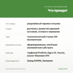 Петуния Designer Candy Pop (0,1л) — что приедет