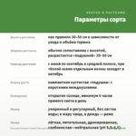 Петуния Designer Candy Pop (срезы/5шт) — параметры сорта