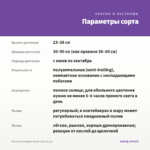 Петуния Designer Royal Lace (0,1л) — параметры сорта