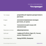 Петуния Designer Royal Lace (0,1л) — что приедет