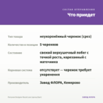 Петуния Designer Royal Lace (срезы/5шт) — что приедет