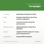 Петуния Designer Spinwheel Scarlet (0,1л) — что приедет