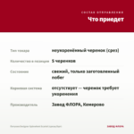 Петуния Designer Spinwheel Scarlet (срезы/5шт) — что приедет