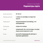Петуния Dolly Dots Aries (срез/5шт) — параметры сорта